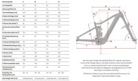 Centurion No Pogo R3700i EP2 grau/antrazit All Mountain E-Bike