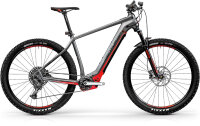 Centurion Backfire E R860i anthrazit  29" E-Bike