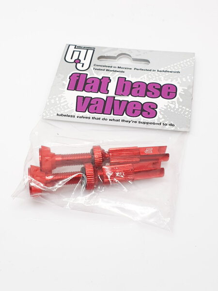 Flat Base Tubeless Valves with Pro Cap