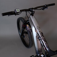 unleazhed bike Protection edition E-Bike Sons of Battery black - matt