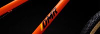 DMR SECT Dirtbike orange